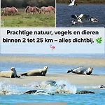 Thuis Op Flakkee Ooltgensplaat