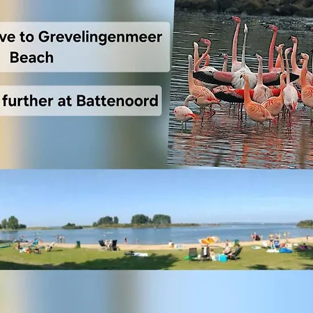 アパート Thuis Op Flakkee Ooltgensplaat