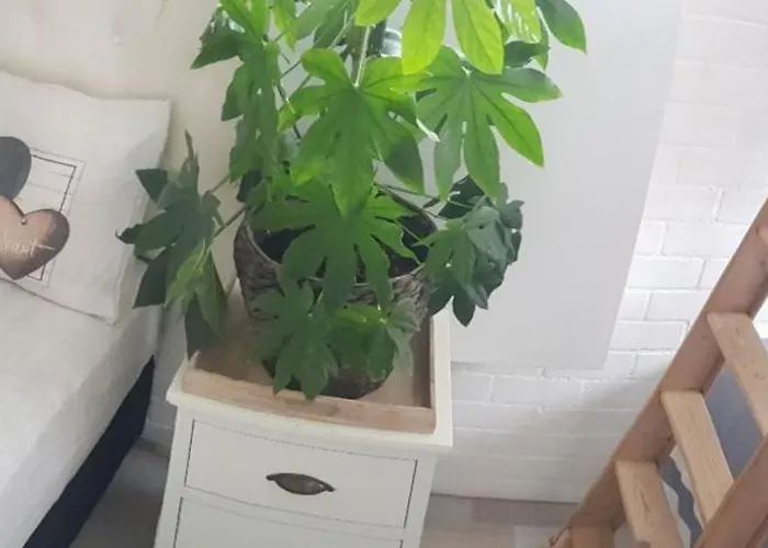 Thuis Op Flakkee * Ooltgensplaat