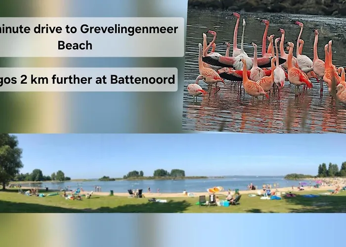 Apartament Thuis Op Flakkee Ooltgensplaat