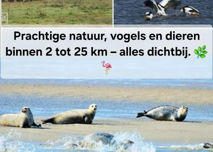 Thuis Op Flakkee Ooltgensplaat